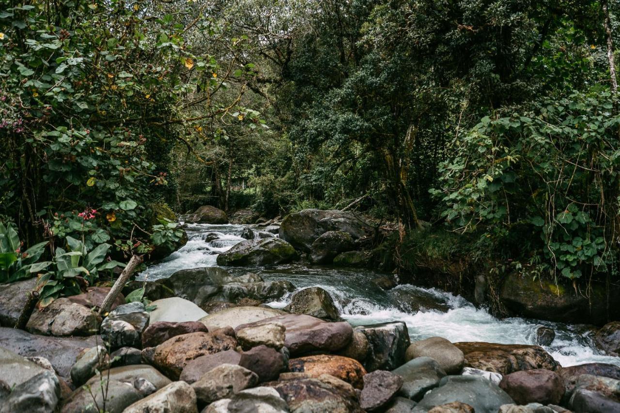 Trogon Lodge San Gerardo de Dota Exterior foto